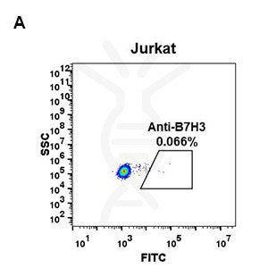 Anti-B7-H3 antibody(DM53), Rabbit mAb – Figure 1 of 1