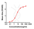 Anti-SARS-CoV-2 RBD antibody(DM54), Rabbit mAb – Figure 1 of 1