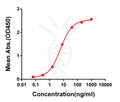 Anti-SARS-CoV-2 RBD antibody(DM55), Rabbit mAb – Figure 1 of 1