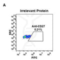 Anti-CD27 antibody(DM58), Rabbit mAb – Figure 1 of 1