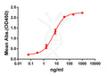 Anti-GPRC5D antibody(DM61), Rabbit mAb – Figure 1 of 1