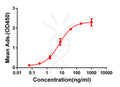Anti-CD28 antibody(DM63), Rabbit mAb – Figure 1 of 1