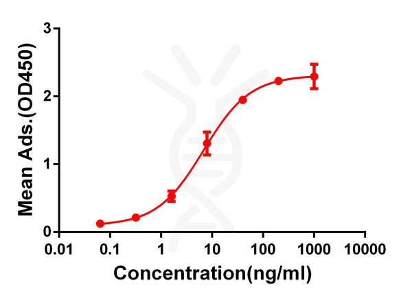 Anti-CD28 antibody(DM63), Rabbit mAb – Figure 1 of 1