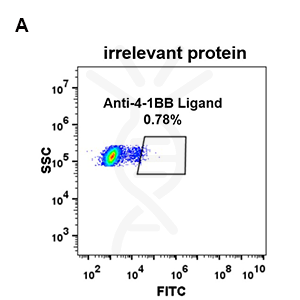 Anti-4-1BB Ligand antibody(DM68), Rabbit mAb – Figure 1 of 1