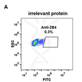 Anti-2B4 antibody(DM69), Rabbit mAb – Figure 1 of 1