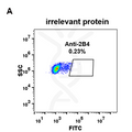 Anti-2B4 antibody(DM70), Rabbit mAb – Figure 1 of 1
