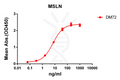 Anti-mesothelin antibody(DM72), Rabbit mAb – Figure 1 of 1