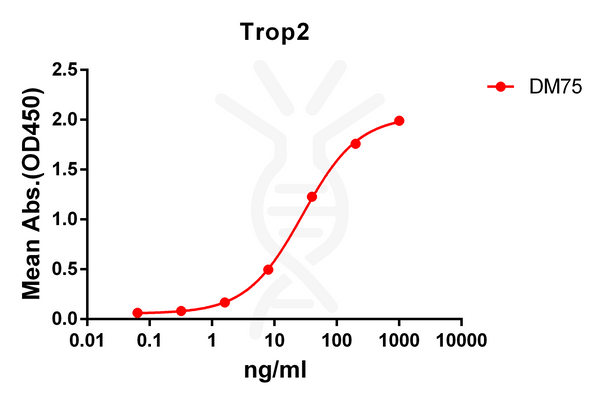Anti-Trop2 antibody(DM75), Rabbit mAb – Figure 1 of 1