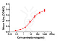 Anti-CD33 antibody(DM77), Rabbit mAb – Figure 1 of 1