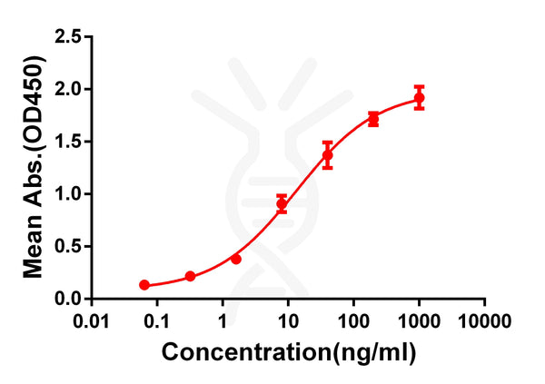 Anti-CD33 antibody(DM77), Rabbit mAb – Figure 1 of 1