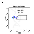 Anti-B7-2 antibody(DM84), Rabbit mAb – Figure 1 of 1