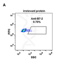 Anti-B7-2 antibody(DM86), Rabbit mAb – Figure 1 of 1