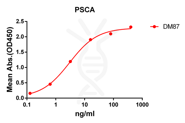 Anti-PSCA antibody(DM87), Rabbit mAb – Figure 1 of 1