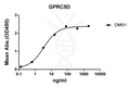 Anti-GPRC5D antibody(DM91), Rabbit mAb – Figure 1 of 1