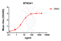 Anti-BTN3A1 antibody(DM93), Rabbit mAb – Figure 1 of 1