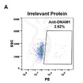 Anti-DNAM-1 antibody(DM96), Rabbit mAb – Figure 1 of 1