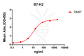 Anti-B7-H2 antibody(DM97), Rabbit mAb – Figure 1 of 1
