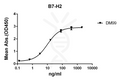Anti-B7-H2 antibody(DM99), Rabbit mAb – Figure 1 of 1