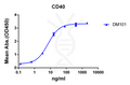 Anti-CD40 antibody(DM101), Rabbit mAb – Figure 1 of 1