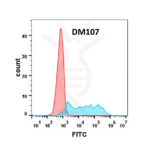 Anti-CSF1R antibody(DM107), Rabbit mAb – Figure 1 of 1