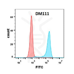 Anti-B7-1 antibody(DM111), Rabbit mAb – Figure 1 of 1