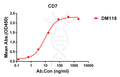 Anti-CD7 antibody(DM118), Rabbit mAb – Figure 1 of 1