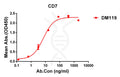 Anti-CD7 antibody(DM119), Rabbit mAb – Figure 1 of 1