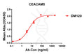 Anti-CEACAM5 antibody(DM120), Rabbit mAb – Figure 1 of 1