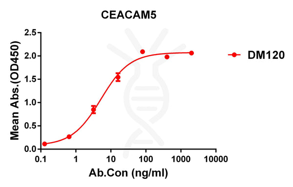 Anti-CEACAM5 antibody(DM120), Rabbit mAb – Figure 1 of 1