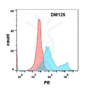 Anti-IL17RA antibody(DM125), Rabbit mAb – Figure 1 of 1