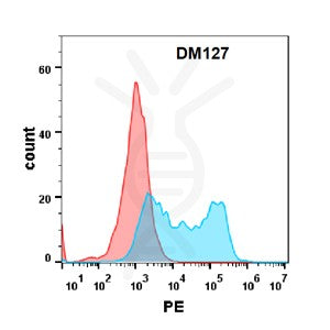 Anti-BAFF-R antibody(DM127), Rabbit mAb – Figure 1 of 1