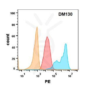 Anti-EGFR antibody(DM130), Rabbit mAb – Figure 1 of 1