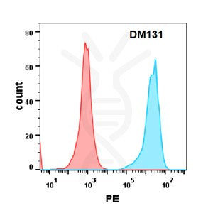 Anti-HVEM antibody(DM131), Rabbit mAb – Figure 1 of 1