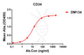 Anti-CD34 antibody(DM134), Rabbit mAb – Figure 1 of 1