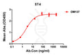 Anti-5T4 antibody(DM137), Rabbit mAb – Figure 1 of 1