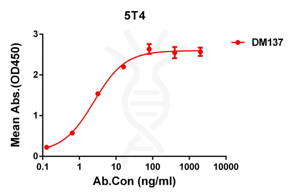 Anti-5T4 antibody(DM137), Rabbit mAb – Figure 1 of 1