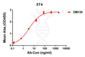 Anti-5T4 antibody(DM139), Rabbit mAb – Figure 1 of 1