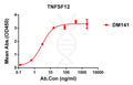 Anti-TNFSF12 antibody(DM141), Rabbit mAb – Figure 1 of 1