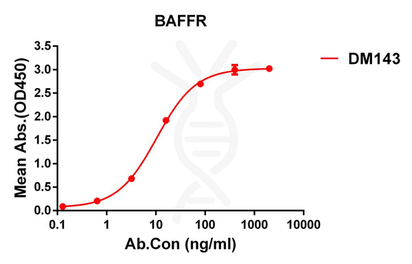 Anti-BAFF-R antibody(DM143), Rabbit mAb – Figure 1 of 1