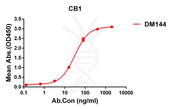 Anti-CB1 antibody(DM144), Rabbit mAb – Figure 1 of 1