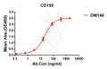 Anti-CD155 antibody(DM146), Rabbit mAb – Figure 1 of 1