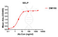 Anti-SELP antibody(DM150), Rabbit mAb – Figure 1 of 1