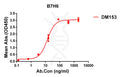 Anti-B7-H6 antibody(DM153), Rabbit mAb – Figure 1 of 1