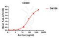 Anti-CD200 antibody(DM156), Rabbit mAb – Figure 1 of 1