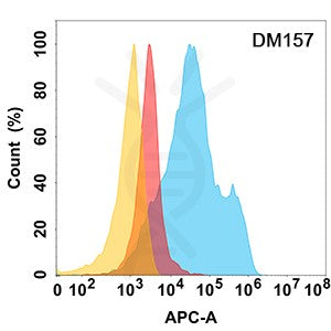 Anti-MICA antibody(DM157), Rabbit mAb – Figure 1 of 1