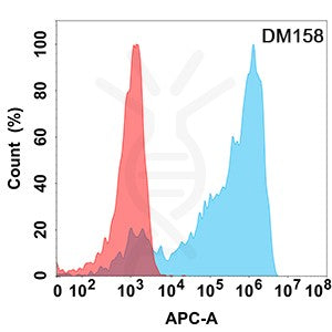 Anti-AXL antibody(DM158), Rabbit mAb – Figure 1 of 1