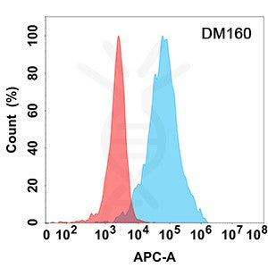Anti-LAG3 antibody(DM160), Rabbit mAb – Figure 1 of 1
