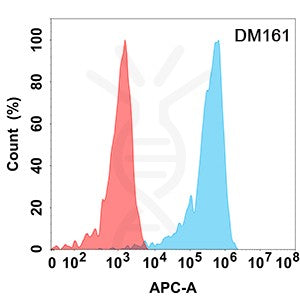 Anti-CD5 antibody(DM161), Rabbit mAb – Figure 1 of 1