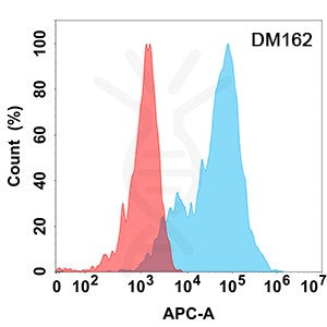 Anti-EPHA3 antibody(DM162), Rabbit mAb – Figure 1 of 1