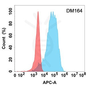Anti-CD40 Ligand antibody(DM164), Rabbit mAb – Figure 1 of 1